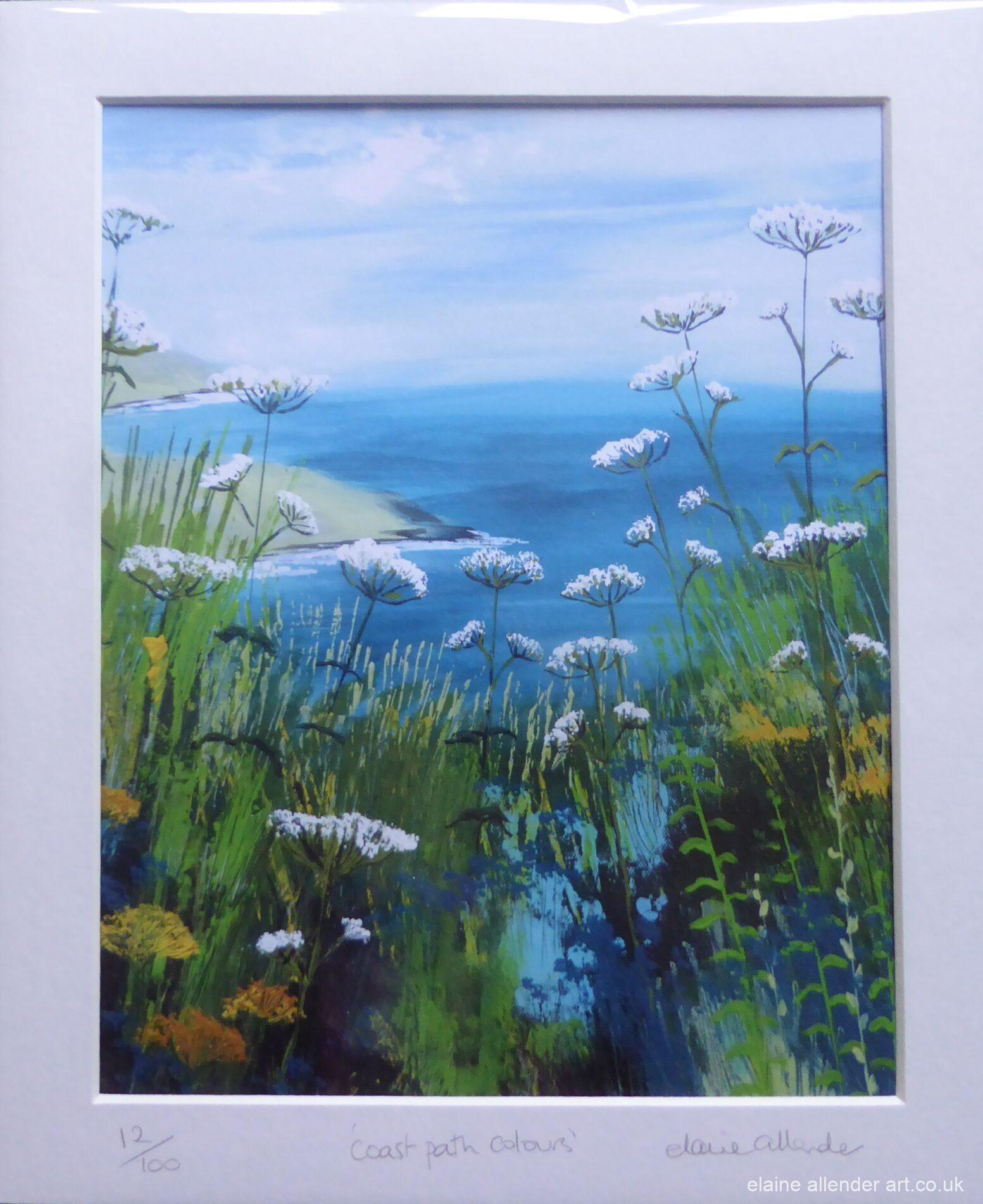 Coast Path Colours
